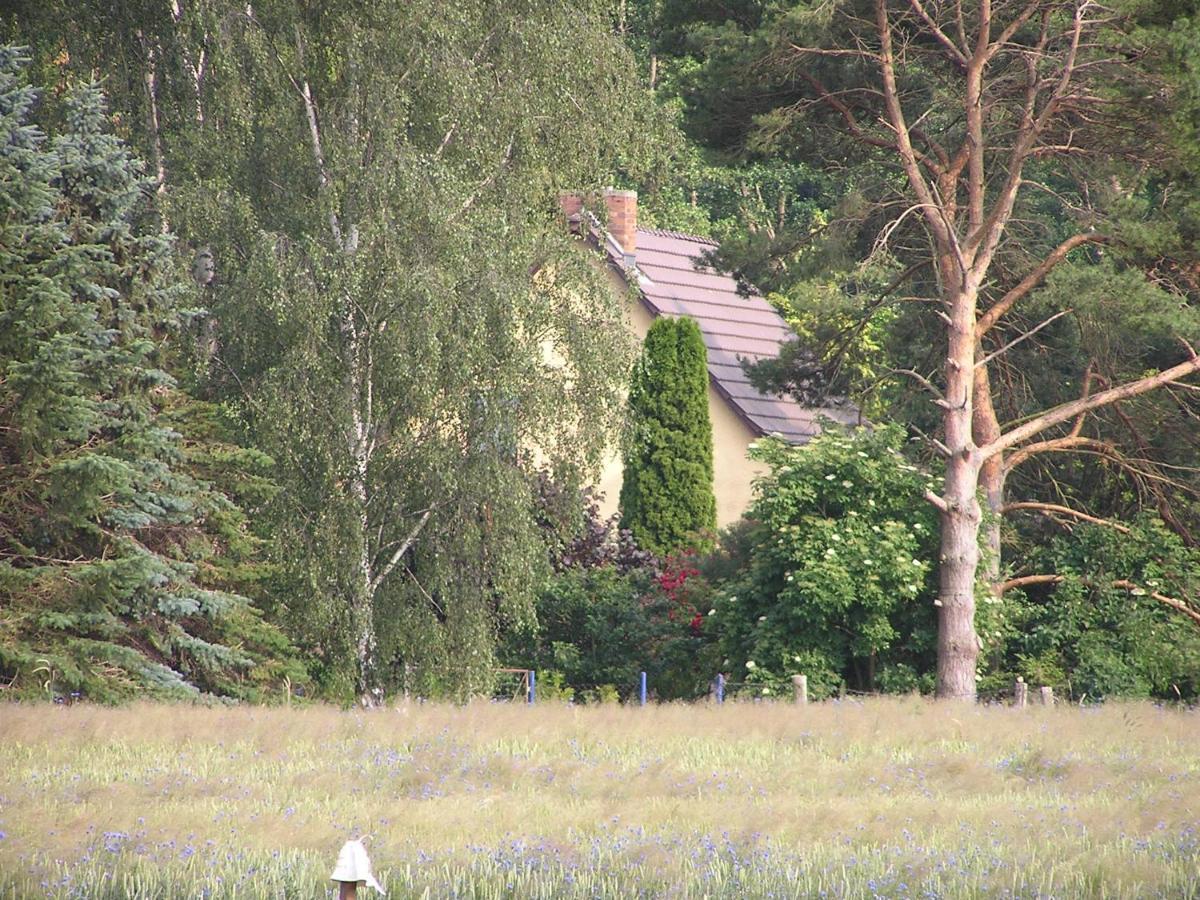Peeneurlaub Lassan Exteriör bild